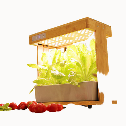 Wooden indoor garden with plants growing under a light source on a white background