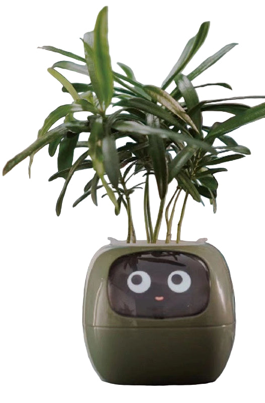 Smart plant pot with a face on a white background
