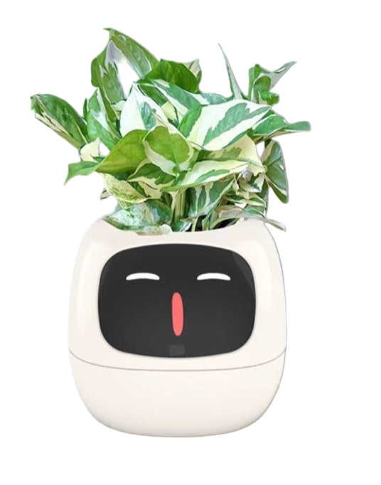 White planter with a face design and green plant on a white background