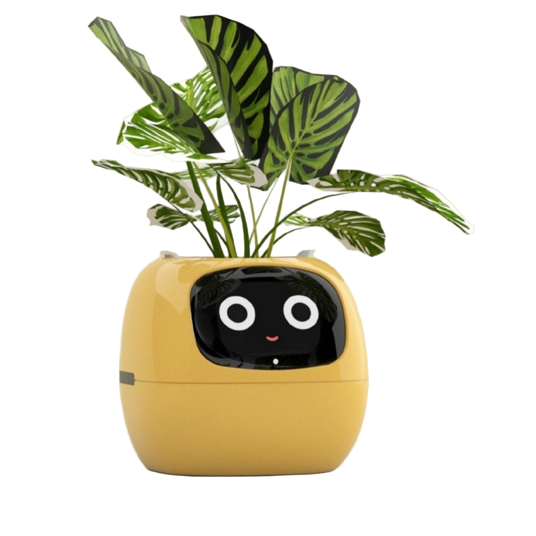 Yellow planter with a face and green plant on a beige background